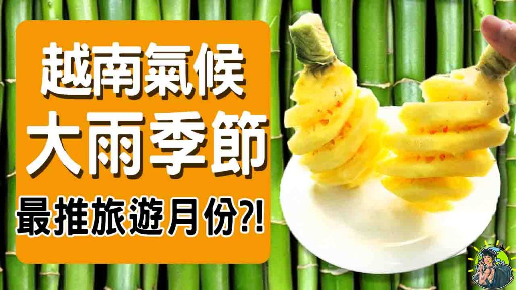 越南最佳旅遊季節 | 河內 | 峴港 | 胡志明 | 下龍灣