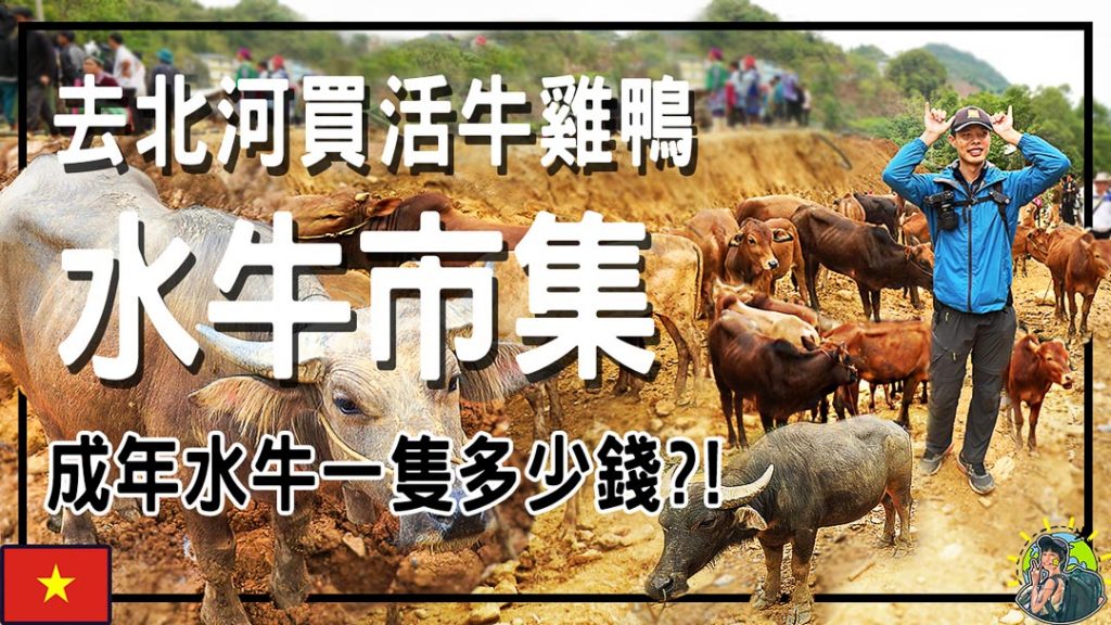 越南 | 北河縣 | Can Cau Market | Bac Ha Market