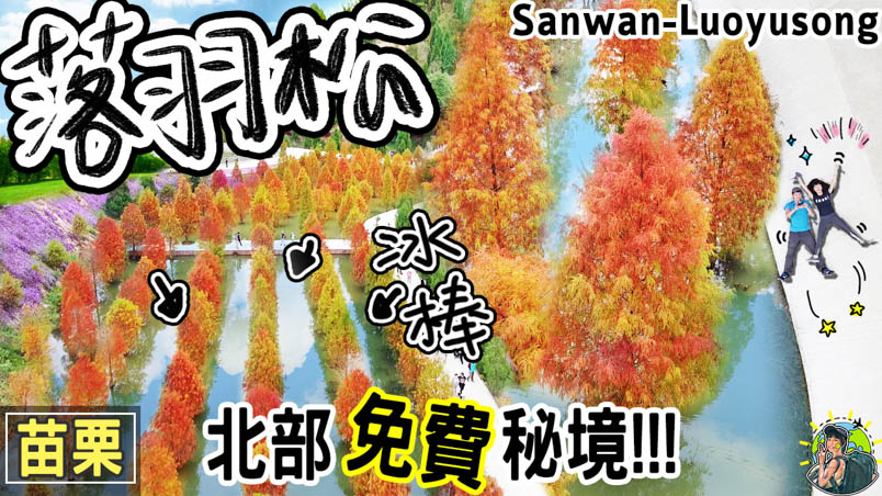 苗栗落羽松莊園秘境 | 苗栗三灣景點