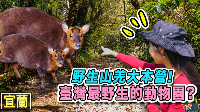 福山植物園 | 入園申請 | 交通 | 宜蘭景點