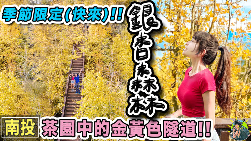 銀杏森林 武岫農圃 |行程 | 交通 | 南投景點