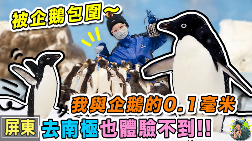 屏東海生館 | 訂票資訊 |夜宿 | 交通 | 我與企鵝的0.1毫米