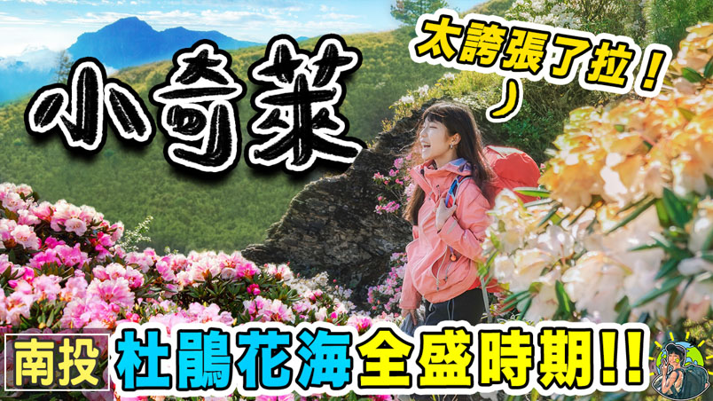小奇萊登山步道 合歡山賞杜鵑大爆發 |GPX | 交通 | 南投景點